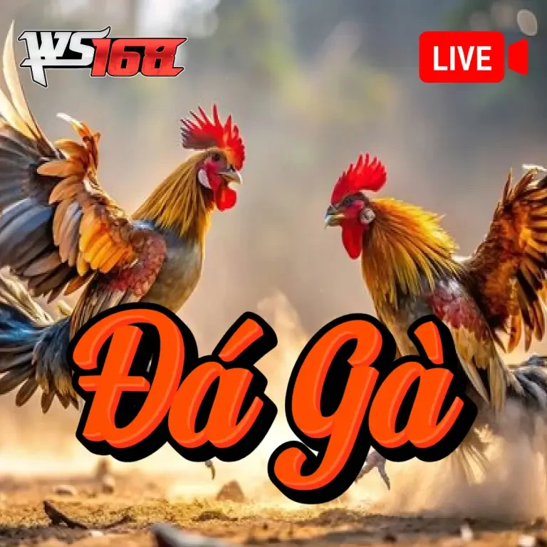 NC88 Đá Gà WS168