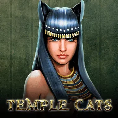 NC88 Temple Cats
