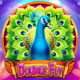 NC88 Double Fly